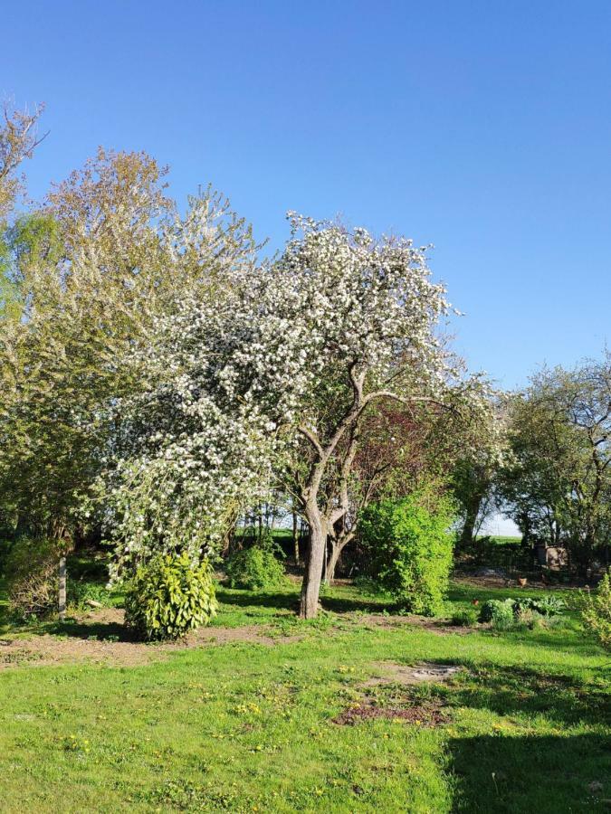 Gite Aische-En-Refail Exteriör bild